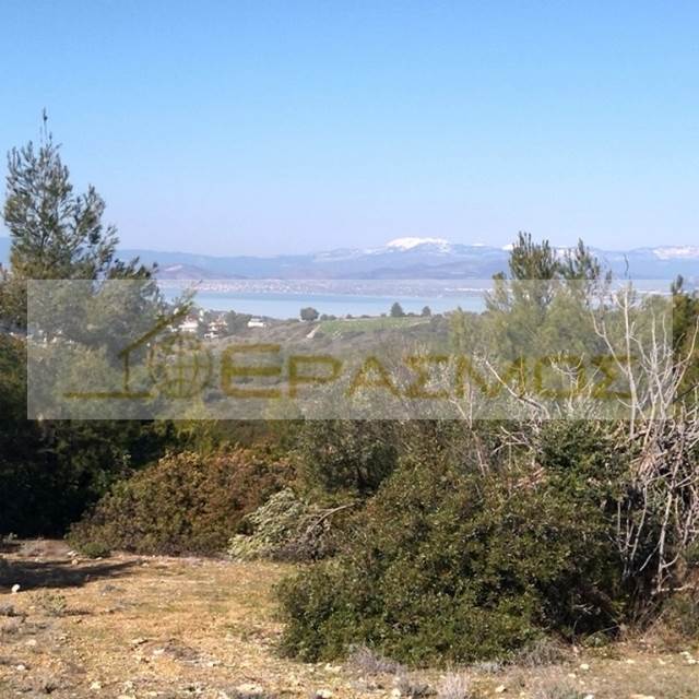 (For Sale) Land Large Land  || Voiotia/Oinofyta - 28.500 Sq.m, 850.000€ 