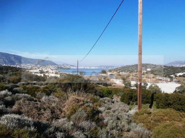 (For Sale) Land Large Land  || East Attica/Markopoulo Mesogaias - 41.000Sq.m, 8.000.000€ 