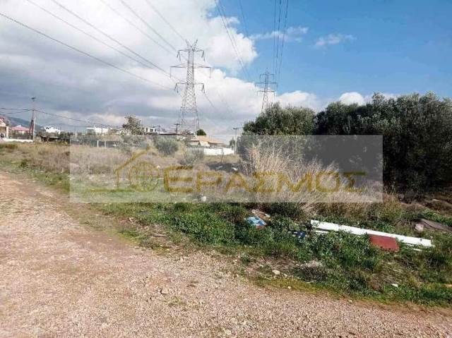 (For Sale) Land Agricultural Land  || East Attica/Acharnes (Menidi) - 215 Sq.m, 25.000€ 