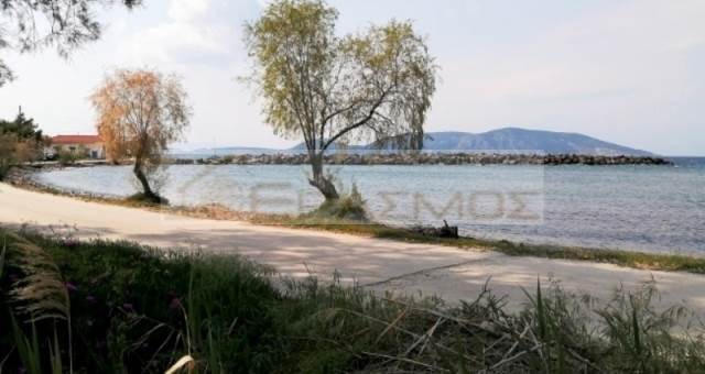 (Προς Πώληση) Αξιοποιήσιμη Γη Οικόπεδο || Πειραιάς/Μέθανα - 340 τ.μ, 62.000€ 