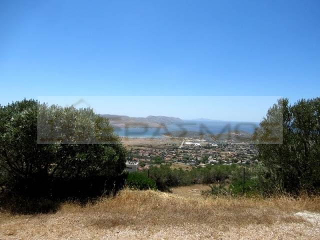 (For Sale) Land Plot || East Attica/Anavyssos - 700.000 Sq.m, 1.060€ 