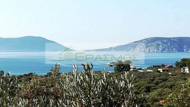 (For Sale) Land Large Land  || Argolida/Ermioni - 6.650 Sq.m, 170.000€ 