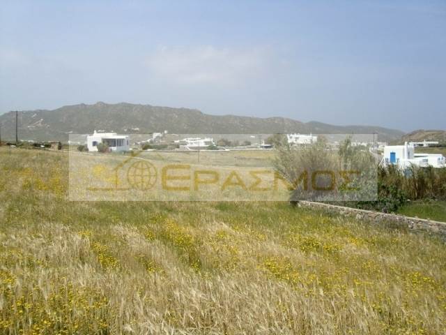 (For Sale) Land Plot || Cyclades/Mykonos - 6.600 Sq.m, 500.000€ 
