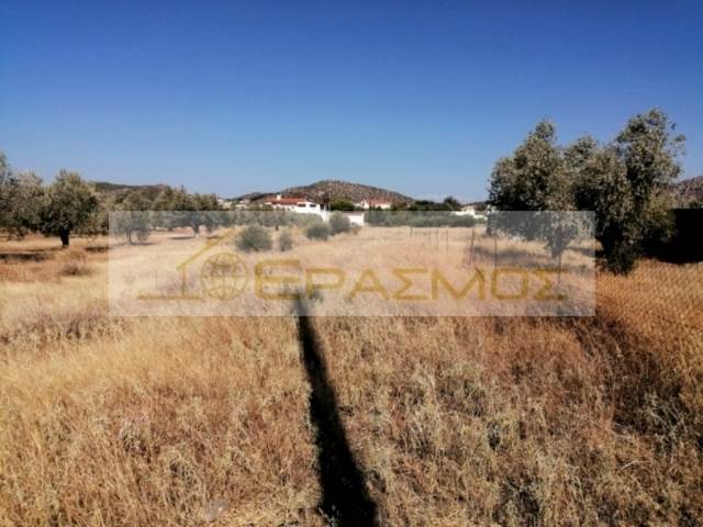 (For Sale) Land Agricultural Land  || East Attica/Vari-Varkiza - 2.008 Sq.m, 685.000€ 