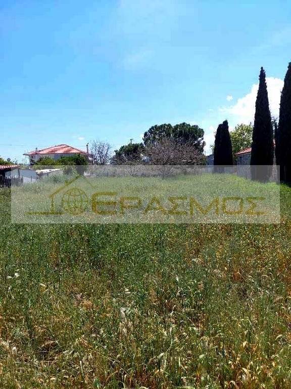 (For Sale) Land Plot || Korinthia/Vocha - 1.000 Sq.m, 35.000€ 