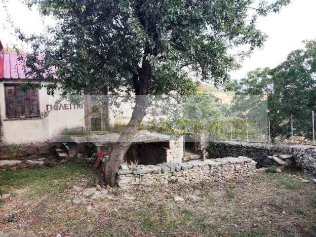 (For Sale) Residential Detached house || Arkadia/Tropaia - 120 Sq.m, 50.000€ 