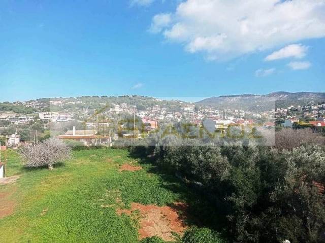 (Προς Πώληση) Αξιοποιήσιμη Γη Οικόπεδο || Ανατολική Αττική/Μαρκόπουλο Μεσογαίας - 770 τ.μ, 300.000€ 