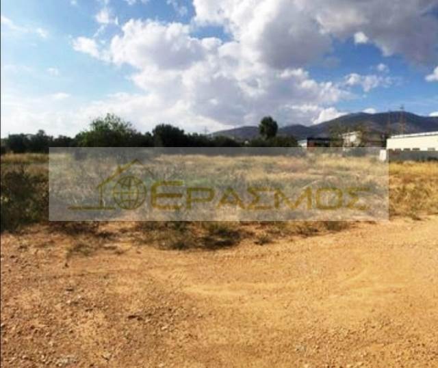 (For Sale) Land Plot || East Attica/Thrakomakedones - 335 Sq.m, 80.000€ 