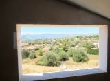 slide1 thumbnail