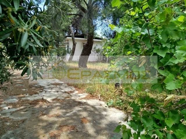(For Sale) Land Plot || East Attica/Kalamos - 830 Sq.m, 70.000€ 