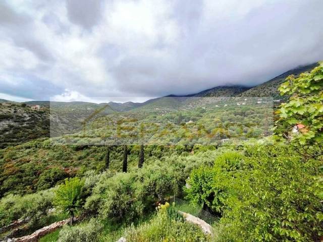 (Προς Πώληση) Κατοικία Μονοκατοικία || Ν. Μεσσηνίας/Λεύκτρο-Καρδαμύλη - 130 τ.μ, 2 Υ/Δ, 80.000€ 