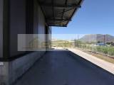 slide1 thumbnail