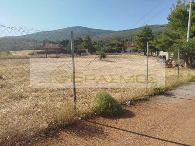 (Προς Πώληση) Αξιοποιήσιμη Γη Αγροτεμάχιο || Δυτική Αττική/Μάνδρα - 3.000 τ.μ, 37.000€ 