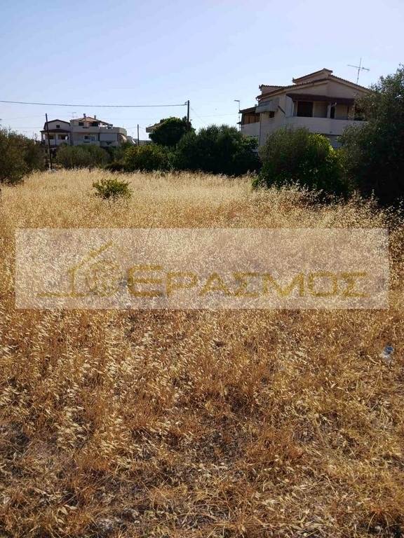 (For Sale) Land Plot || Korinthia/Sikyona - 540 Sq.m, 70.000€ 