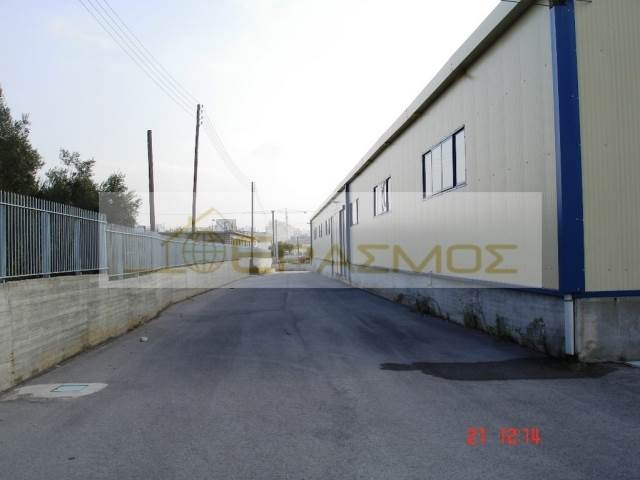 (For Rent) Commercial Building || East Attica/Acharnes (Menidi) - 2.000 Sq.m, 17.000€ 