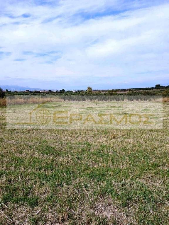 (Προς Πώληση) Αξιοποιήσιμη Γη Οικόπεδο || Ν. Κορινθίας/Κόρινθος - 1.400 τ.μ, 150.000€ 